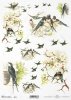 ptak, ptaki, jaskółka, jaskółki, kwiaty, wiosna, R673, bird, birds, swallow, flowers, spring, Vogel, Vögel, Schwalbe, Blumen, Frühling, pájaro, golondrina, flores, primavera 